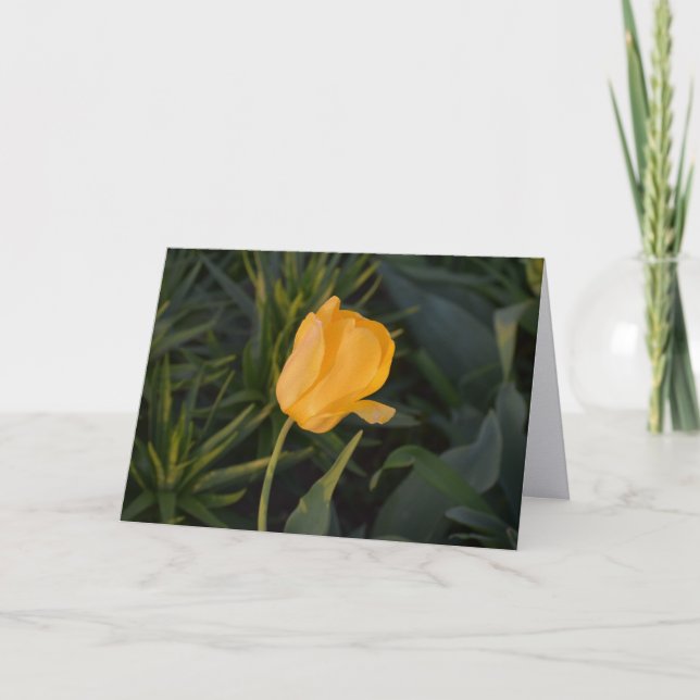 Cartão de Nota Tulipa Dourada Única (Frente)