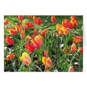 Cartão de nota Tulips Laranja