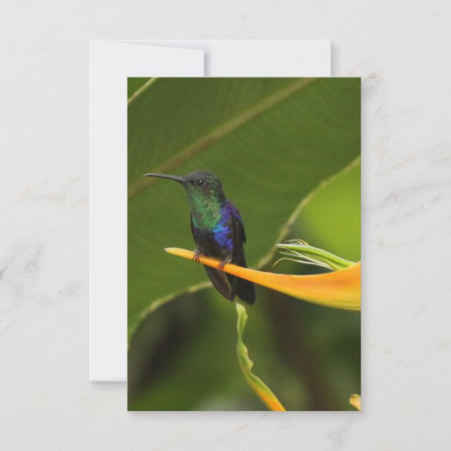 cartão de nota vazio (Frente)