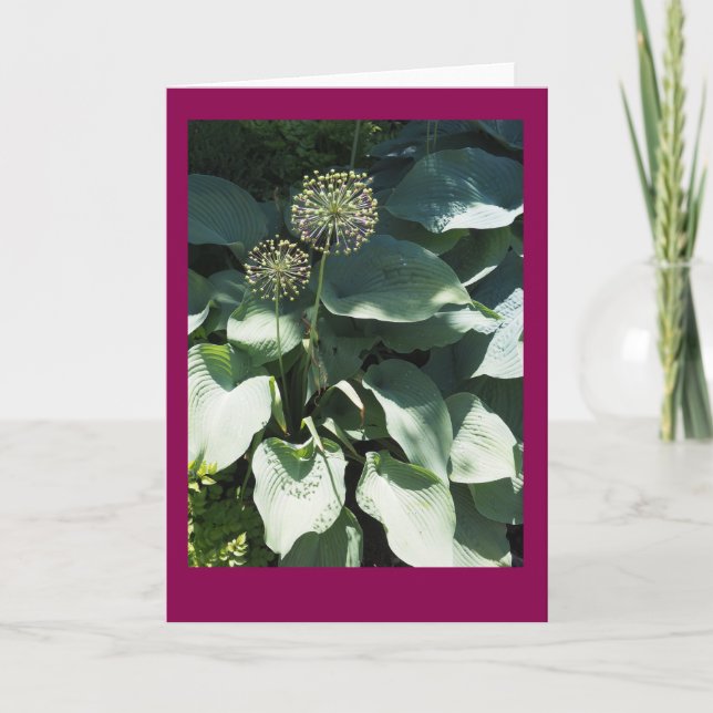 Cartão de nota vazio das folhas do Allium e do (Frente)