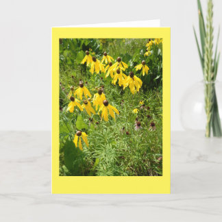 Cartão de nota vazio de Coneflower II amarelo