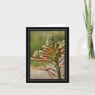 Cartão de Nota Vegetal Tropical