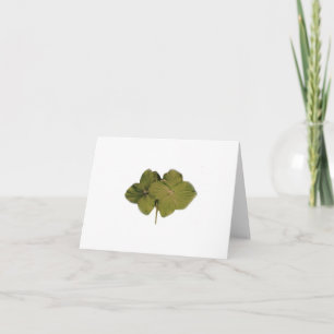 Cartão de nota verde do Hydrangea
