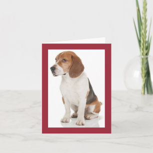 Cartão de Nota Vermelho Vermelho Cachorrinho Beagl