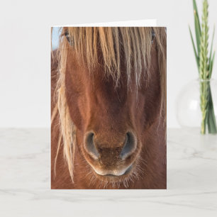 Cartão de Nota "Whiskers"