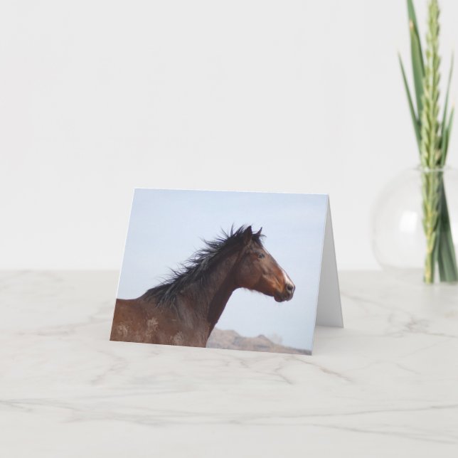 Cartão de Notas  (Frente)