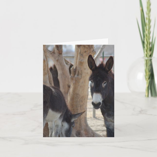 Cartão de Notas  (Frente)