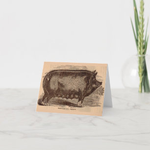 Cartão De Notas 19th century pig print Berkshire sow no. 1