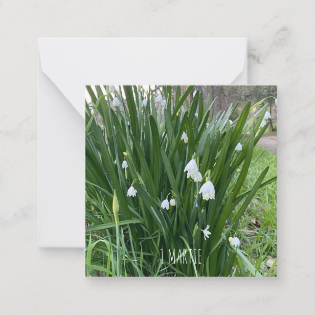 Cartão De Notas 1Cartão de Nota Marcial (Frente)