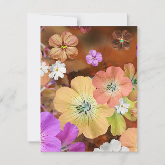 Cartão De Notas A fada sairá logo 1 (Frente)