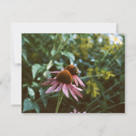 Cartão De Notas Abelha & Coneflower