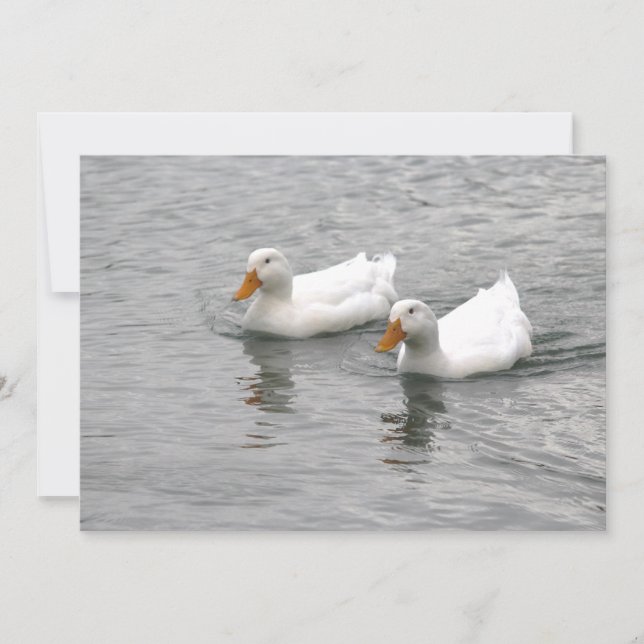 Cartão De Notas Amigos (Frente)