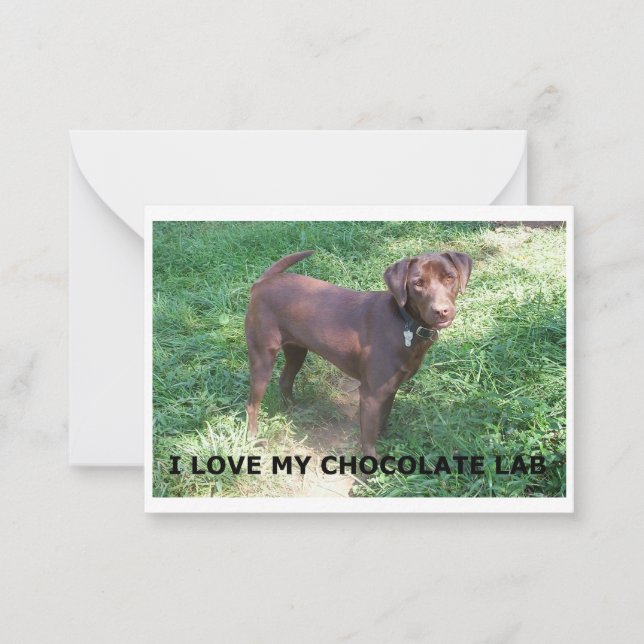 Cartão De Notas amor de lab chocolate LR com imagem (Frente)