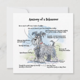 Cartão De Notas Anatomia de um Notecard Engraçado Schnauzer