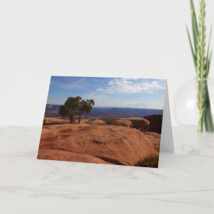 Cartão De Notas Árvore das Rochas Vermelhas I em Canyonlands