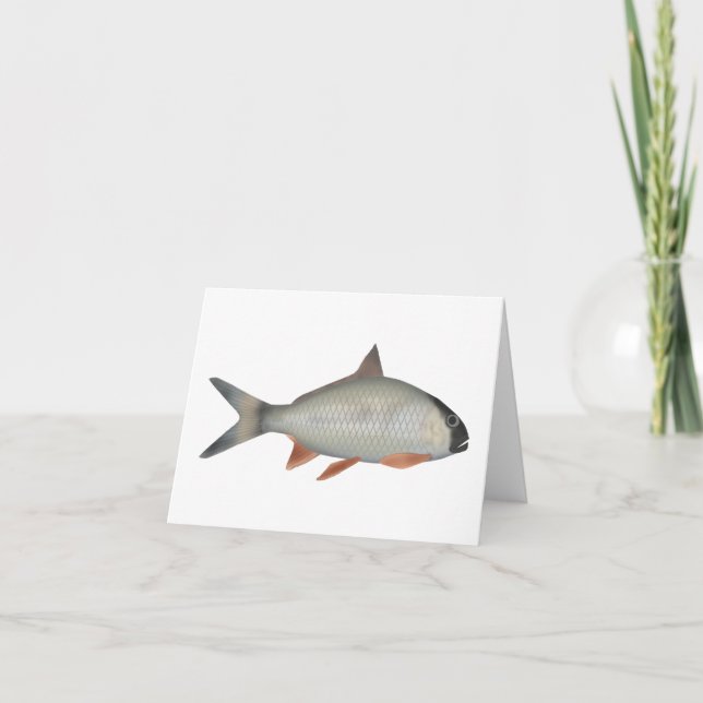 Cartão De Notas Assamese Kingfish (Frente)