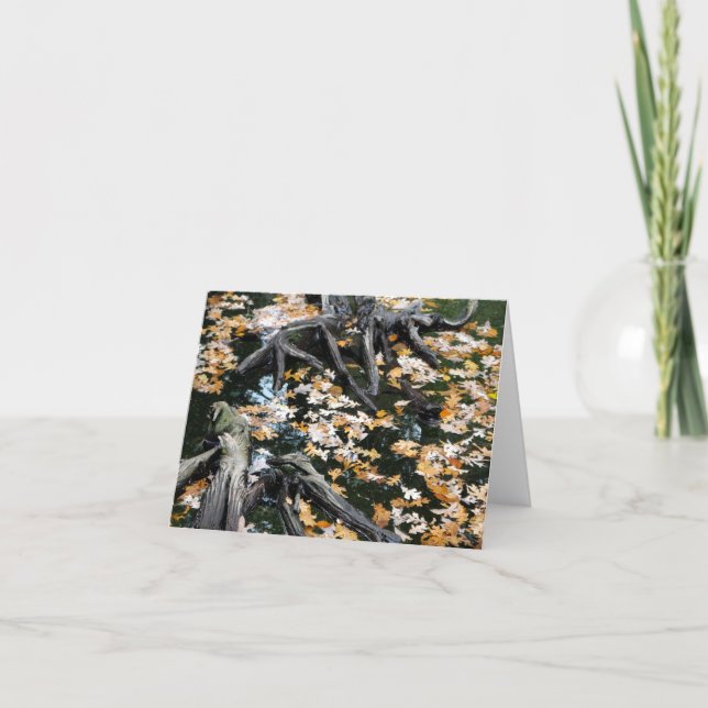 Cartão De Notas Autumn Otter Pond de Folhas (Frente)