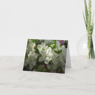 Cartão De Notas Azáleas Brancas Iluminadas Lindas Flores de Primav