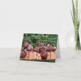Cartão De Notas Bando de Flamingos Rosa no vazio