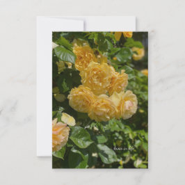 Cartão De Notas Bando de Rosas de Jardim Amarelo