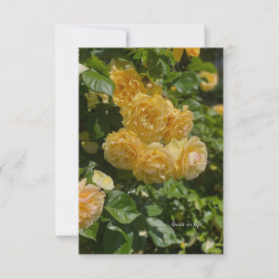 Cartão De Notas Bando de Rosas de Jardim Amarelo
