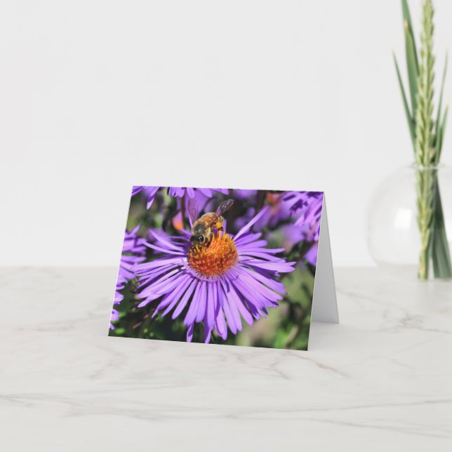 Cartão De Notas Bee On Purple Aster Flower Photography  (Frente)