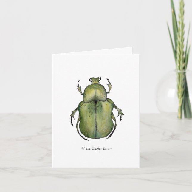 Cartão De Notas Beetle Note Cards (Frente)