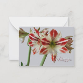 Cartão De Notas Bela Amaryllis, flor e prato, aniversário