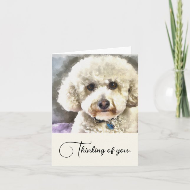 Cartão De Notas Bichon Frise Dog Personalizado Pensando Em Você (Frente)