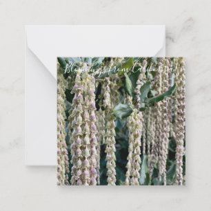 Cartão De Notas Bloomings da Califórnia: Tassel de Seda