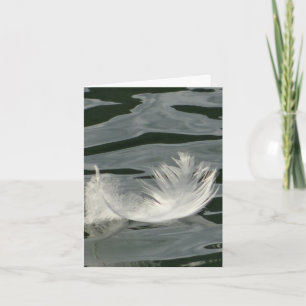 Cartão De Notas Bonito pena branca