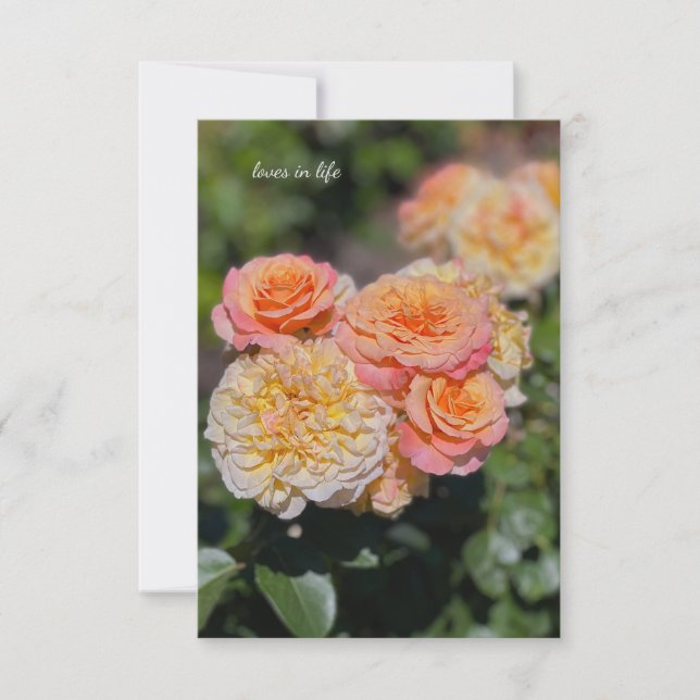 Cartão De Notas Bonito Rosas Amarelas e Rosa (Frente)