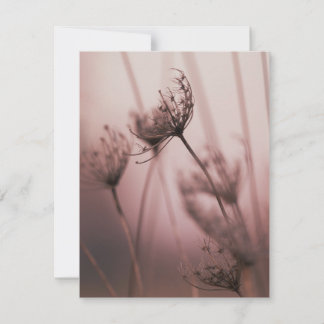 Cartão De Notas Cabeças de Sementes de Flores Silvestres Luz Suave