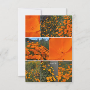 Cartão De Notas California Poppy Collage
