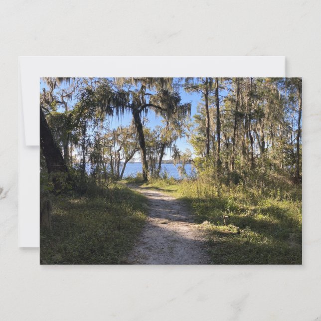 Cartão De Notas Caminho pelo rio (Frente)