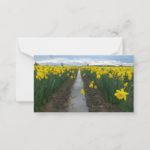 Cartão De Notas Campo Daffodil