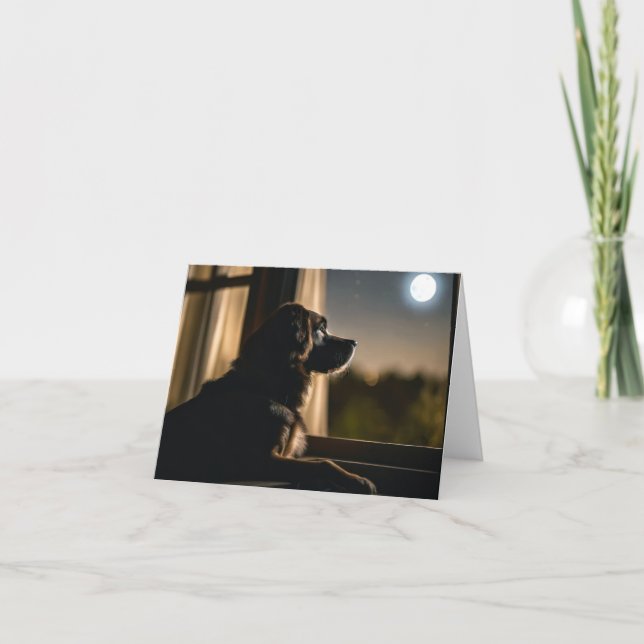 Cartão De Notas Canina Na Janela (Frente)