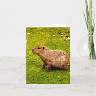 Cartão De Notas Capivara