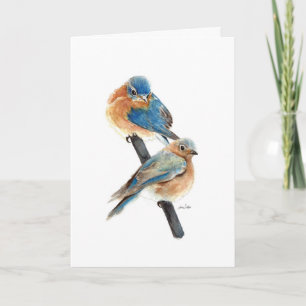 Cartão De Notas Casais de Azulão Pintura Feliz Aniversário