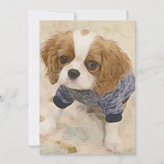 Cartão De Notas Cavalier King Charles Spaniel card