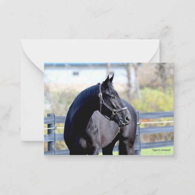 Cartão De Notas Cavalo Na Pastagem (Frente)