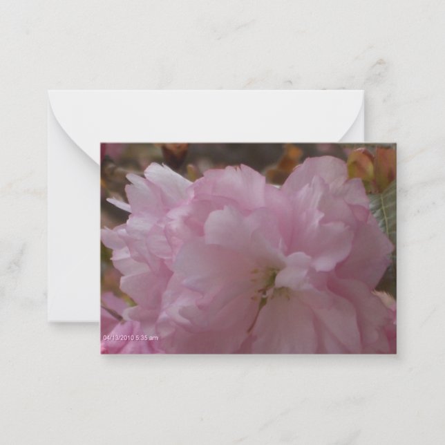 Cartão De Notas Cherry Blossom Sympathy Card (Frente)