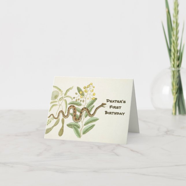 Cartão De Notas Cobra (Frente)