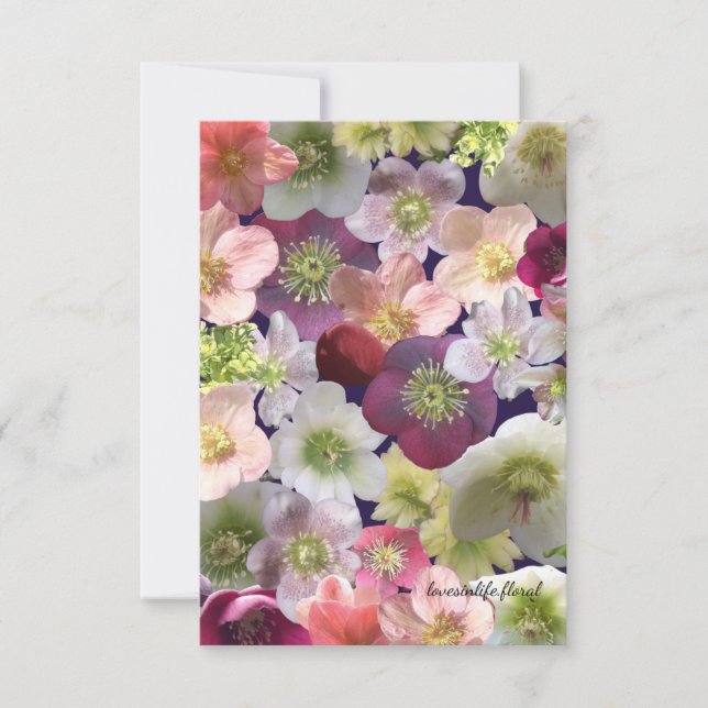 Cartão De Notas Colagem de Hellebore  (Frente)