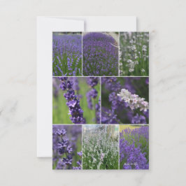 Cartão De Notas Colagem de lavandas 2