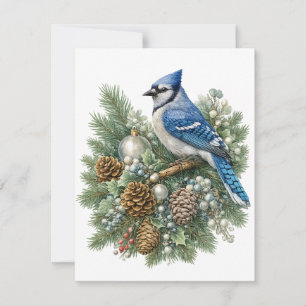 Cartão De Notas Coleção Blue Jay Winter Songbirds