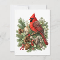 Coleção de Pássaros Cantores de Inverno Cardinal d