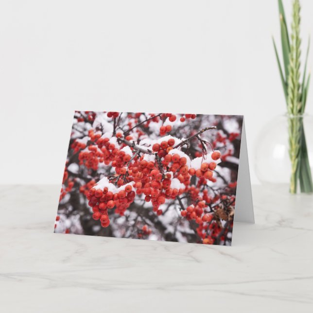 Cartão De Notas Conjunto de Placas de Nota de Vazio 5 x 7 (Frente)