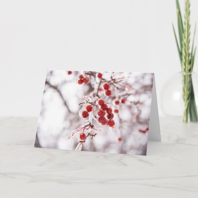 Cartão De Notas Conjunto de Placas de Nota de Vazio 5 x 7 (Frente)