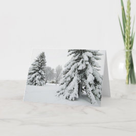 Cartão De Notas Conjunto de Placas de Nota de Vazio 5 x 7